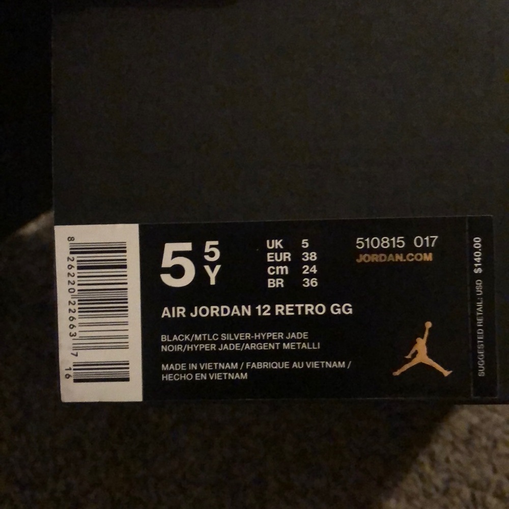 Air Jordan 12 Retro GG